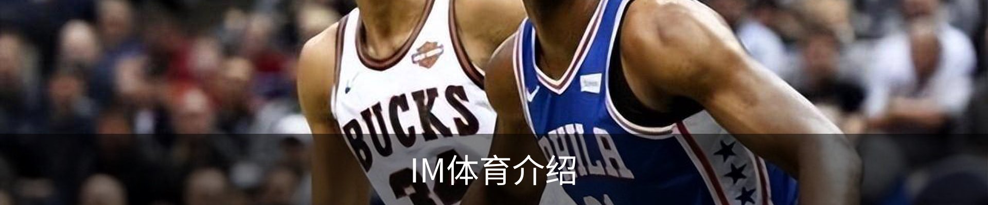 IM体育介绍